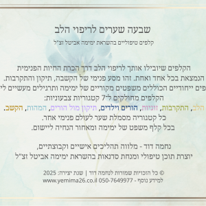 גב חפיסת הקלפים